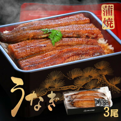 【ふるさと納税】《3尾入》うなぎ蒲焼　化粧箱入り　地元老舗うなぎ加工会社より真空でお届け!【配送不可地域：離島】【1696783】 22,200円