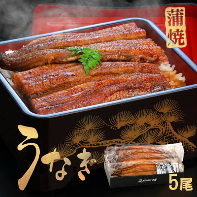 【ふるさと納税】《5尾入》うなぎ蒲焼　化粧箱入り　地元老舗うなぎ加工会社より真空でお届け!【配送不可地域：離島】【1696791】