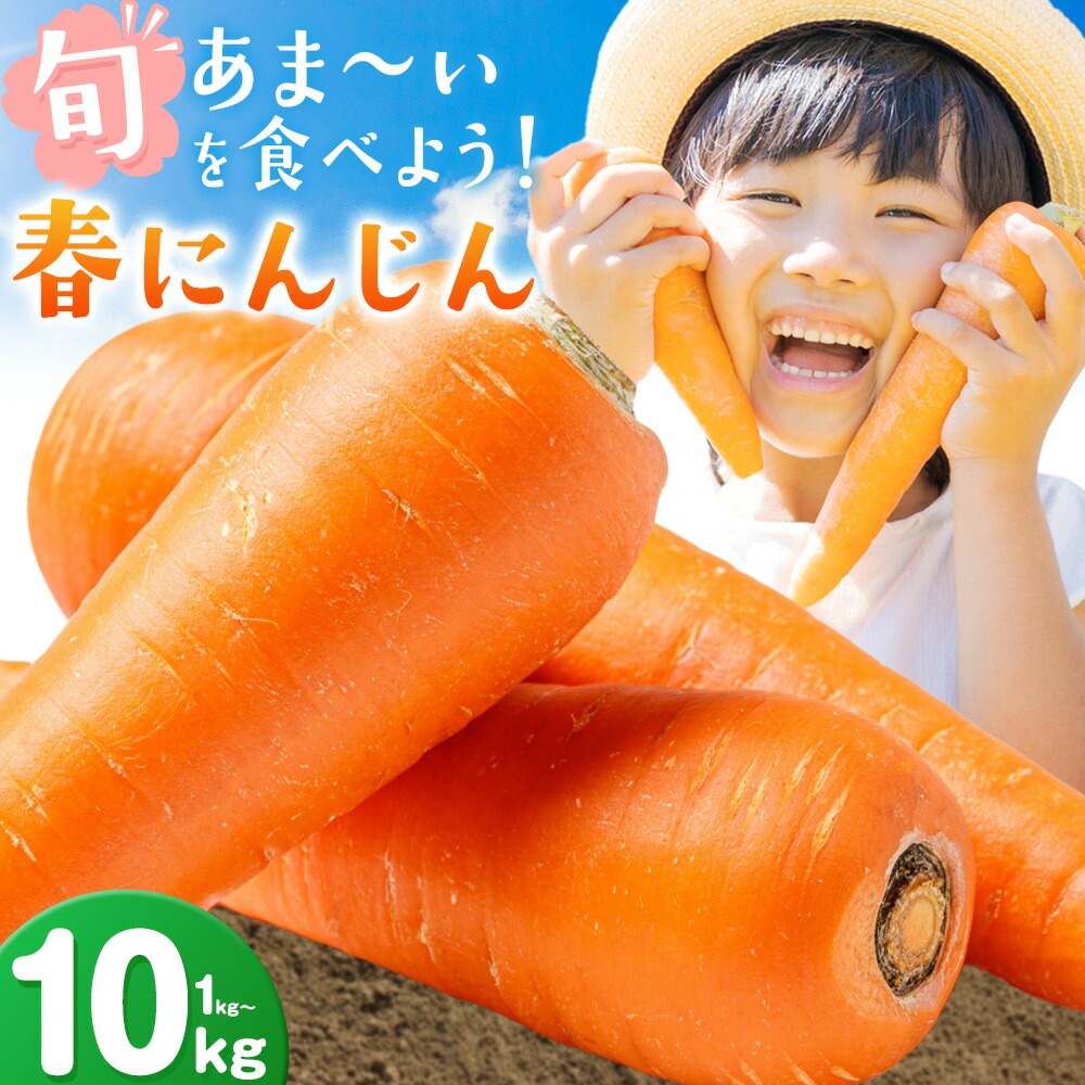【ふるさと納税】にんじん 人参 春にんじん 1kg 3kg 5kg 10kg 《3月中旬-5月中旬頃出荷》 野菜 青果物 ニンジン 旬 送料無料 徳島県 上板町