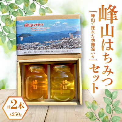 【ふるさと納税】峰山ハチミツ大びん2本セット(高松景色箱入り)【1608605】