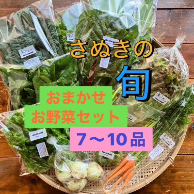 【ふるさと納税】旬を楽しむTAGATAMEのおまかせお野菜セット(7～10品)【配送不可地域：離島・北海道・沖縄県・東北・信越、北陸】【1632093】