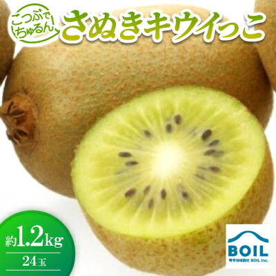 【ふるさと納税】こつぶでちゅるん　さぬきキウイっこ　約1.2kg(24玉)【配送不可地域：離島】【1680217】 8,580円