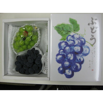【ふるさと納税】人気の2品種　シャインマスカット+ピオーネ食べ比べセット　約1.2kg(各1房)【配送不可地域：離島・北海道・沖縄県】【1705900】｜香川県