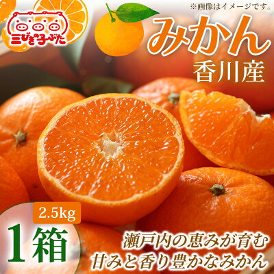 【ふるさと納税】【甘さと酸味の絶妙】香川県産極上みかんを家族みんなで味わう　みかん(露地物)(2.5kg)1箱【1727338】｜香川県