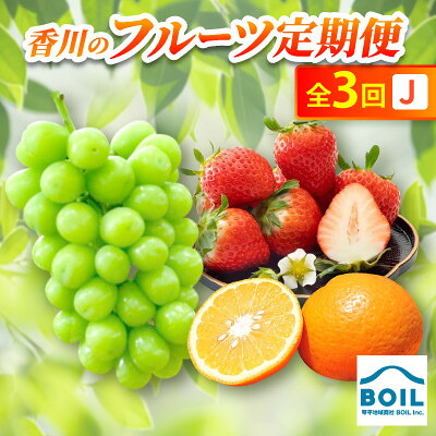 【ふるさと納税】【発送月固定定期便】香川のフルーツ(3J)全3回【配送不可地域：離島・北海道・沖縄県】【4083530】