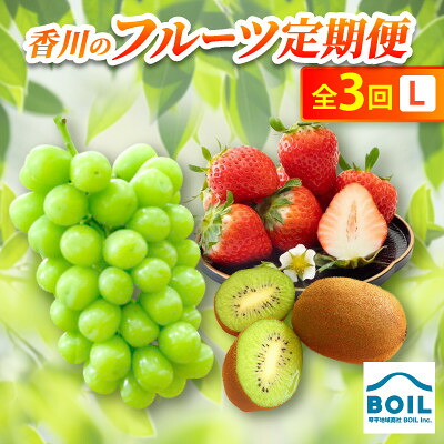 【ふるさと納税】【発送月固定定期便】香川のフルーツ(3L)全3回【配送不可地域：離島・北海道・沖縄県】【4083532】｜香川県