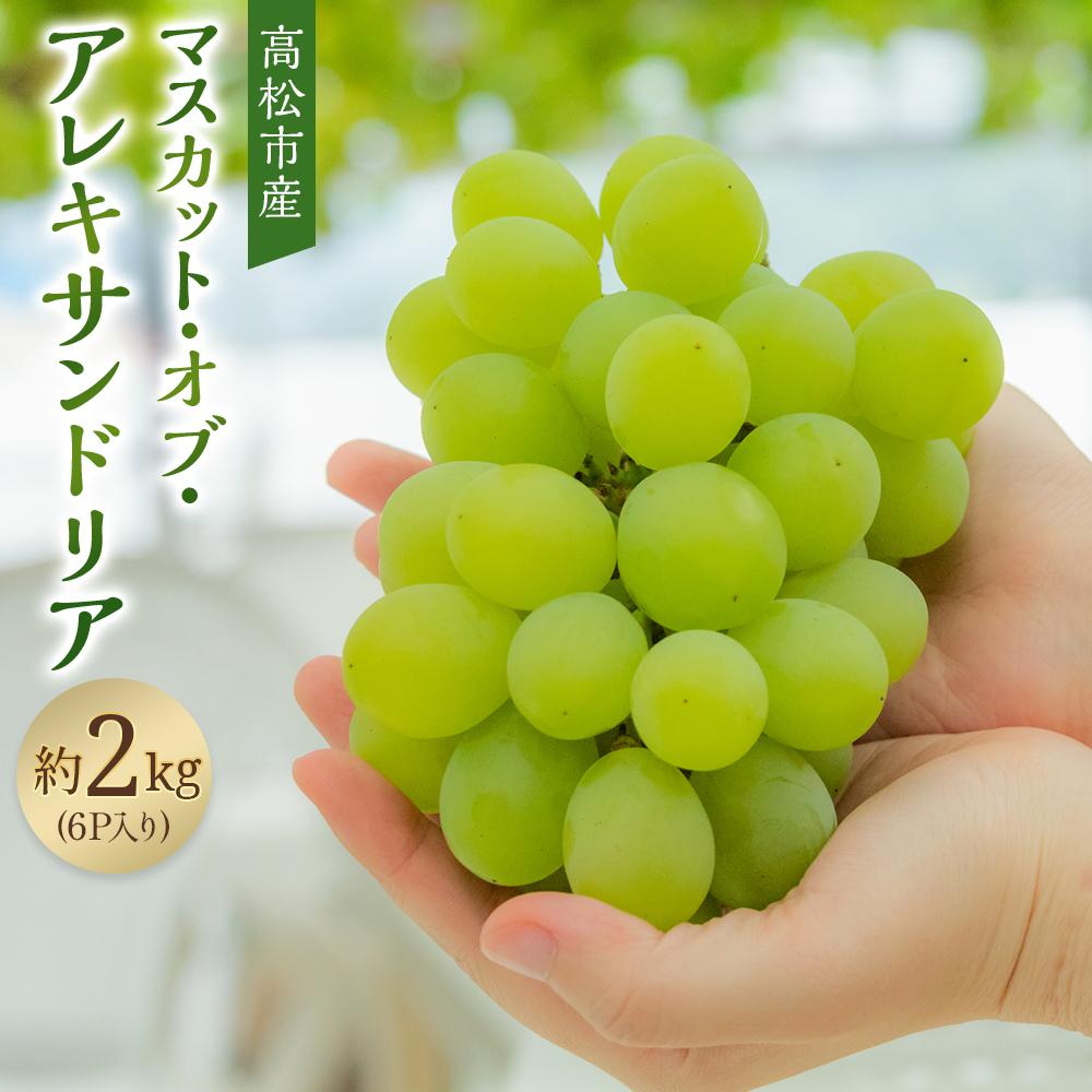 【ふるさと納税】マスカット・オブ・アレキサンドリア　約2kg(6P入り)【2025-8月上旬～2025-9月中旬配送】 | フルーツ 果物 ぶどう ブドウ 瀬戸内 四国 香川