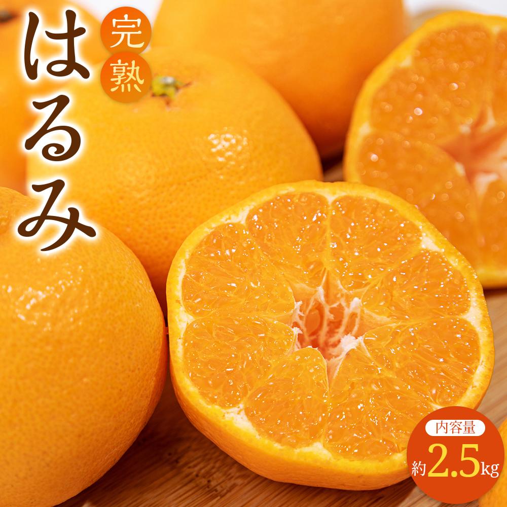 【ふるさと納税】完熟 はるみ 約2.5kg【2026-2月下旬～2026-3月下旬配送】 | 果物 フルーツ 大粒 果肉 甘い 爽やか みかん 柑橘 デザート スイーツ 産地直送 人気 おすすめ お取り寄せ お取り寄せグルメ