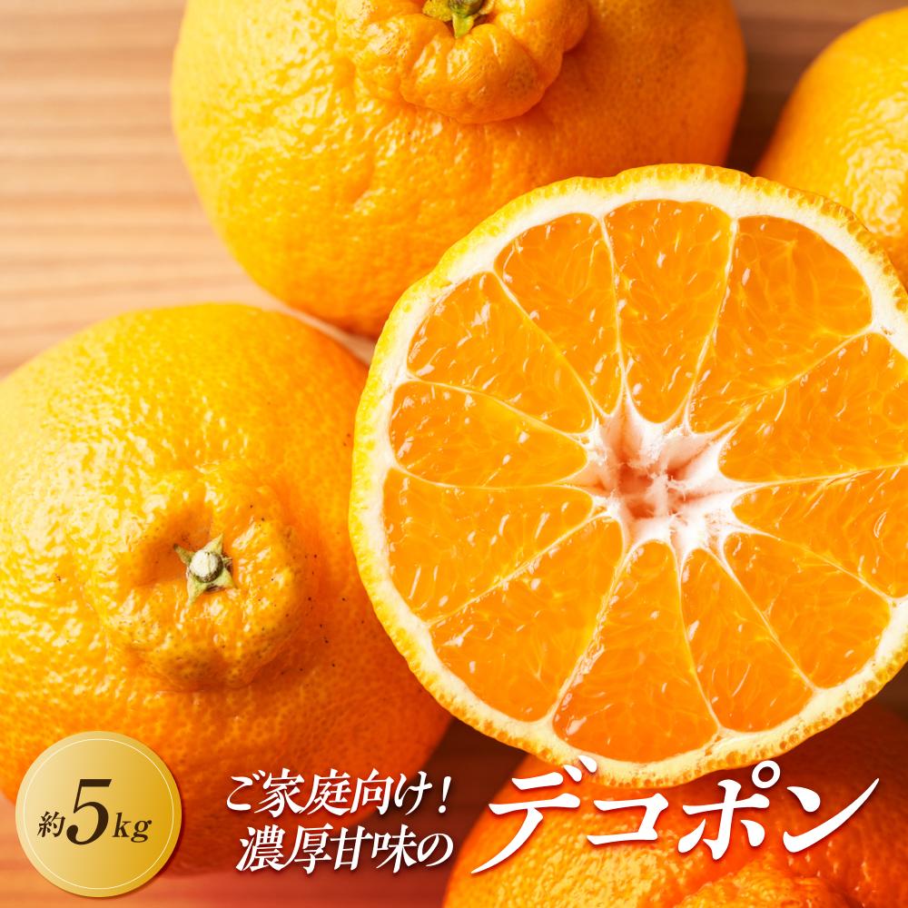 【ふるさと納税】【2027年3月中旬より順次発送】ご家庭向け！濃厚甘味の「不知火(しらぬい)」約5kg｜果物 くだもの フルーツ 柑橘 みかん 不知火 濃厚 甘い ミカン 人気 おすすめ 先行予約 香川 高松 | フルーツ 果物 くだもの 食品 人気 おすすめ 送料無料｜香川県高松市 10,140円