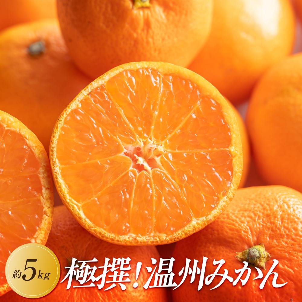 【ふるさと納税】【2025年11月上旬より順次発送】極撰！温州みかん　約5kg | フルーツ 果物 くだもの 食品 人気 おすすめ 送料無料