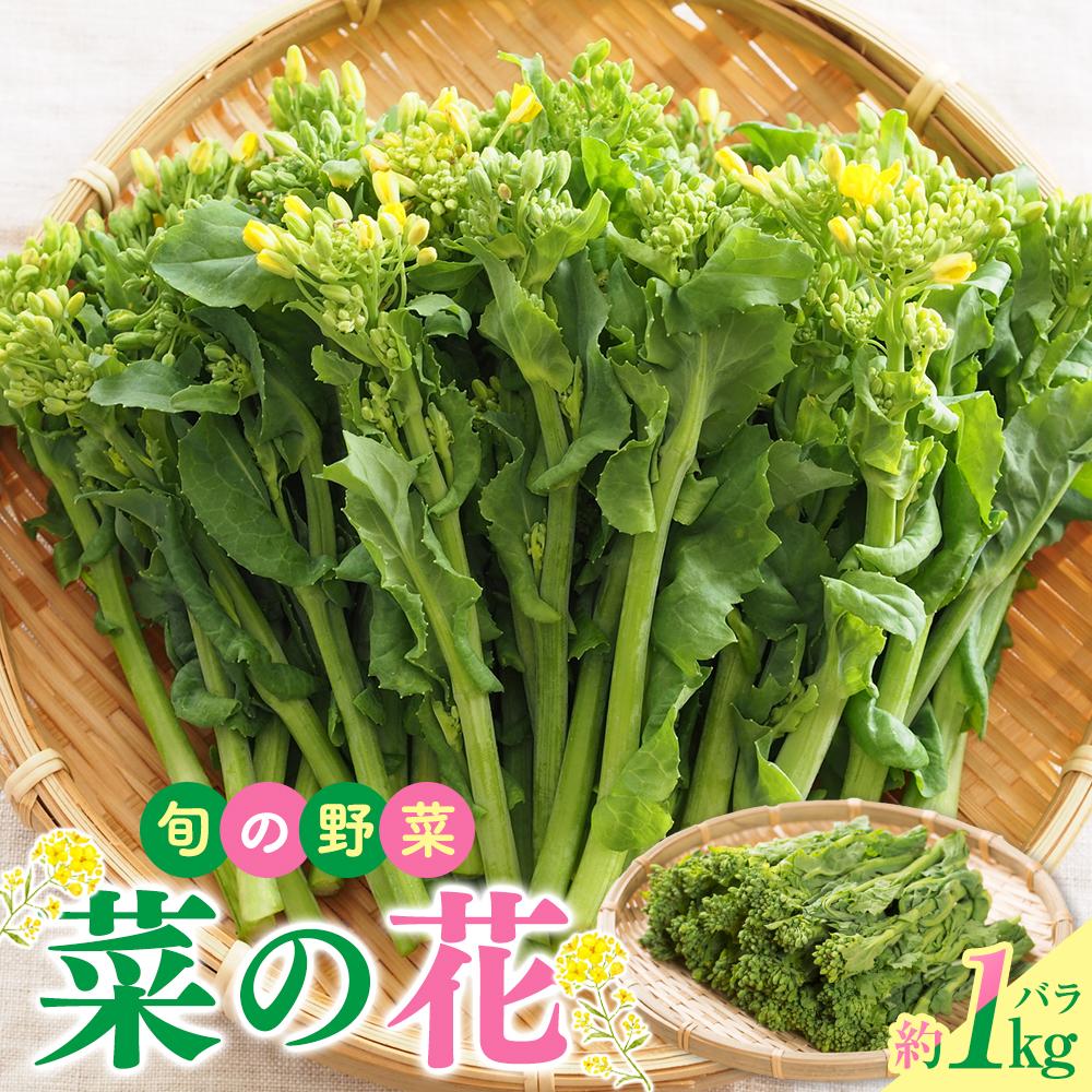 【ふるさと納税】旬の野菜 菜の花バラ 約1kg【2026-12月上旬～2027-3月下旬配送】 | 旬の野菜 春野菜 花菜 食用 ほろ苦い 和え物 炒め物 揚げ物 味噌汁 自宅用 家庭用 おすそ分け 和食 お取り寄せ 香川県 高松市