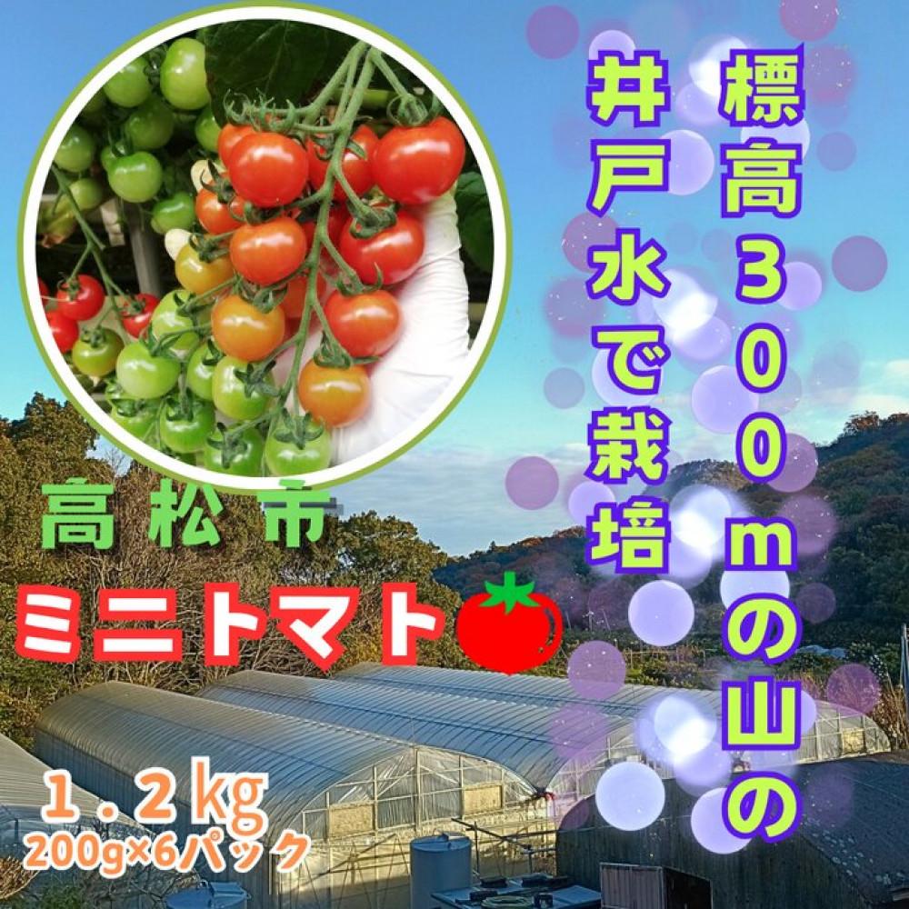 【ふるさと納税】ミニトマト1.2kg (200g×6パック詰め） | 野菜 やさい 食品 トマト　ミニトマト　香川県　高松市