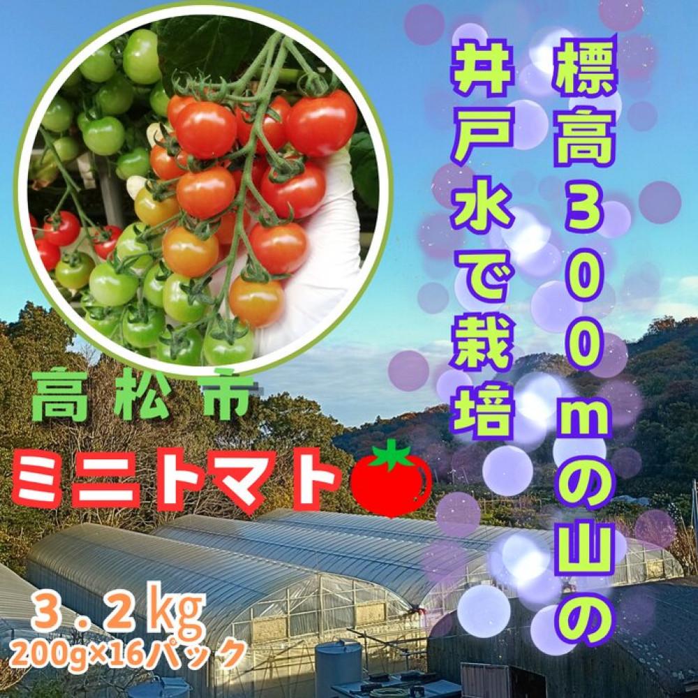 【ふるさと納税】ミニトマト3.2kg (200g×16パック詰め） | 野菜 やさい 食品 トマト　ミニトマト　香川県　高松市