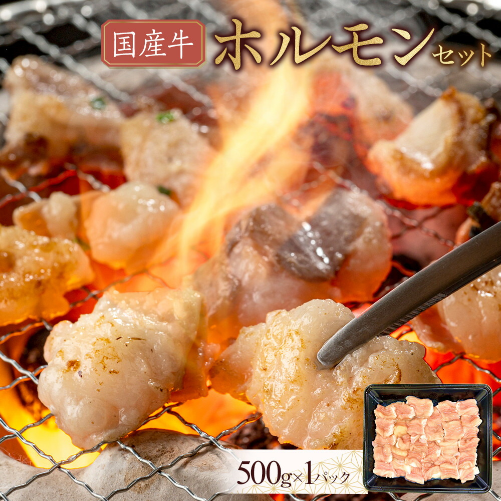 【ふるさと納税】国産牛 ホルモンセット 500g | 肉 お肉 にく 牛肉 牛 ホルモン 小腸 食品 人気 おすすめ 送料無料 ギフト|香川県高松市