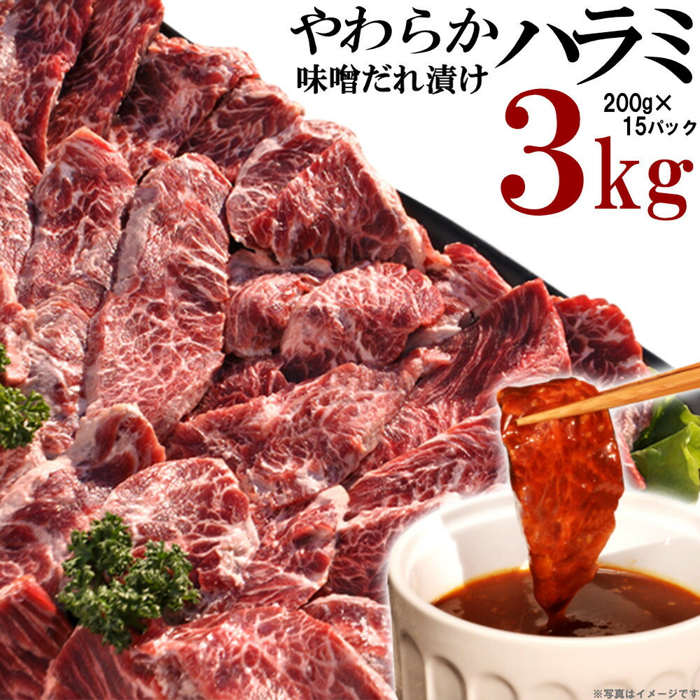 【ふるさと納税】やわらかハラミ味噌だれ漬け3kg（200ｇ×15） | 肉 お肉 にく 牛肉 牛ハラミ肉 牛ハラミ 味噌だれ 情熱ホルモン 小分け 便利 食品 ギフト 送料無料 24,500円
