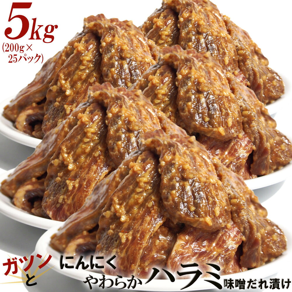 【ふるさと納税】ガツンとにんにくやわらかハラミ味噌だれ漬け5kg（200g×25） | 肉 お肉 にく 牛肉 ハラミ 牛ハラミ にんにく 味噌だれ 味付き 情熱ホルモン 小分け 便利 食品 ギフト 送料無料