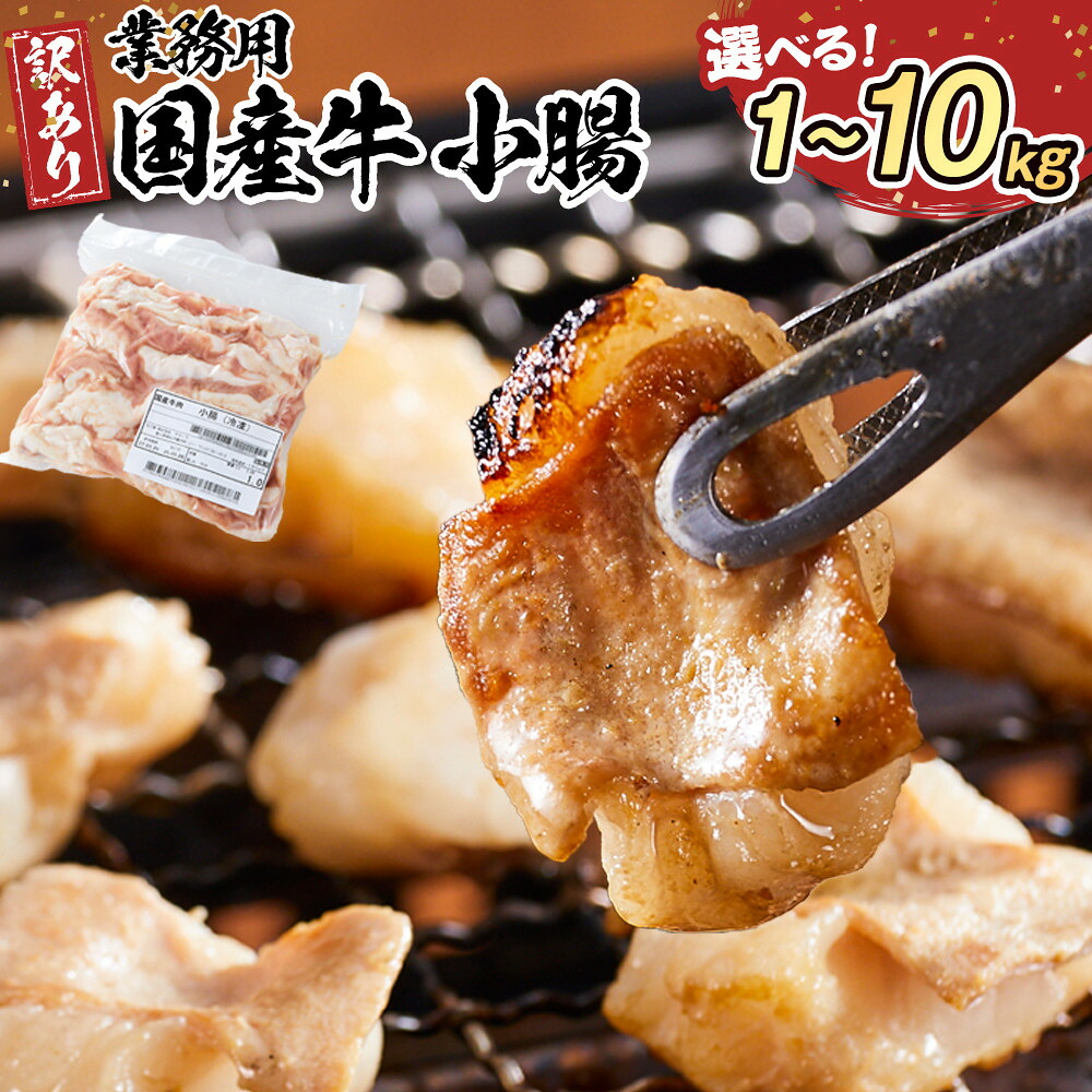 【ふるさと納税】《業務用・訳アリ》国産牛　小腸　1kg～10kg | 肉 お肉 にく 牛肉 小腸 ホルモン 訳あり 訳アリ 業務用 国産牛 食品 人気 おすすめ 送料無料 ギフト