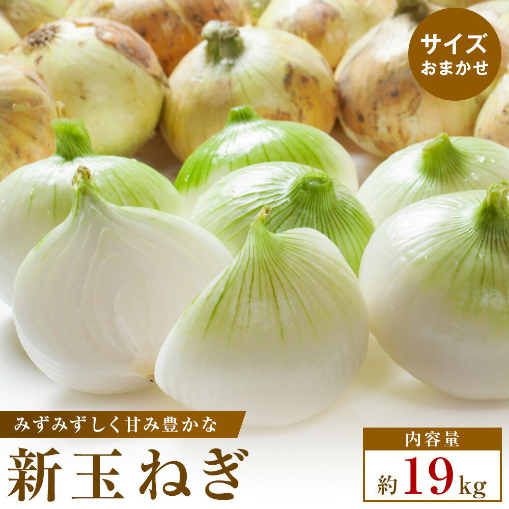 【ふるさと納税】【2026年3月~5月発送】この時期にしか味わえない、みずみずしく甘み豊かな「新玉ねぎ」 約19kg