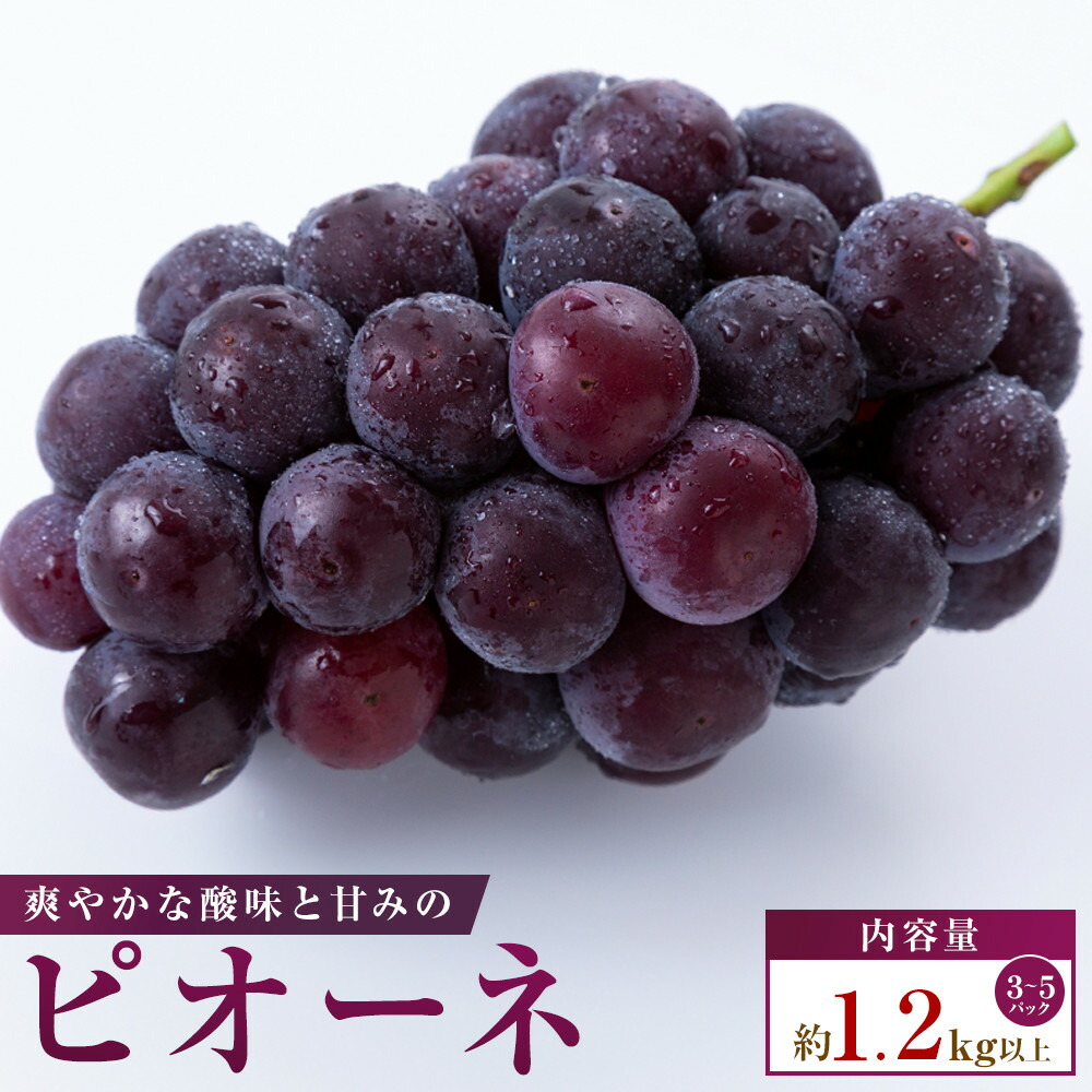 【ふるさと納税】【小分けパック入り】パクパク食べられる・ピオーネパック 約1.2kg以上|香川県高松市