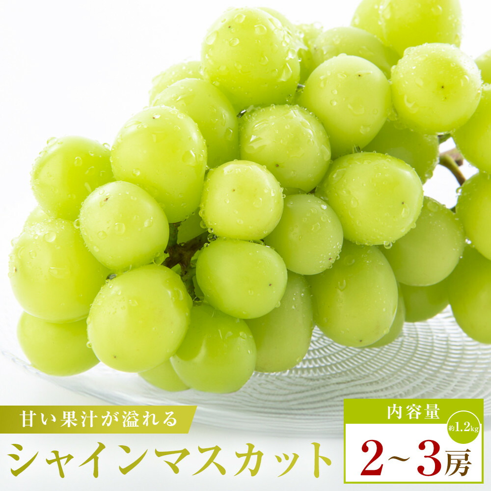 【ふるさと納税】シャインマスカット　約1.2kg(2～3房)