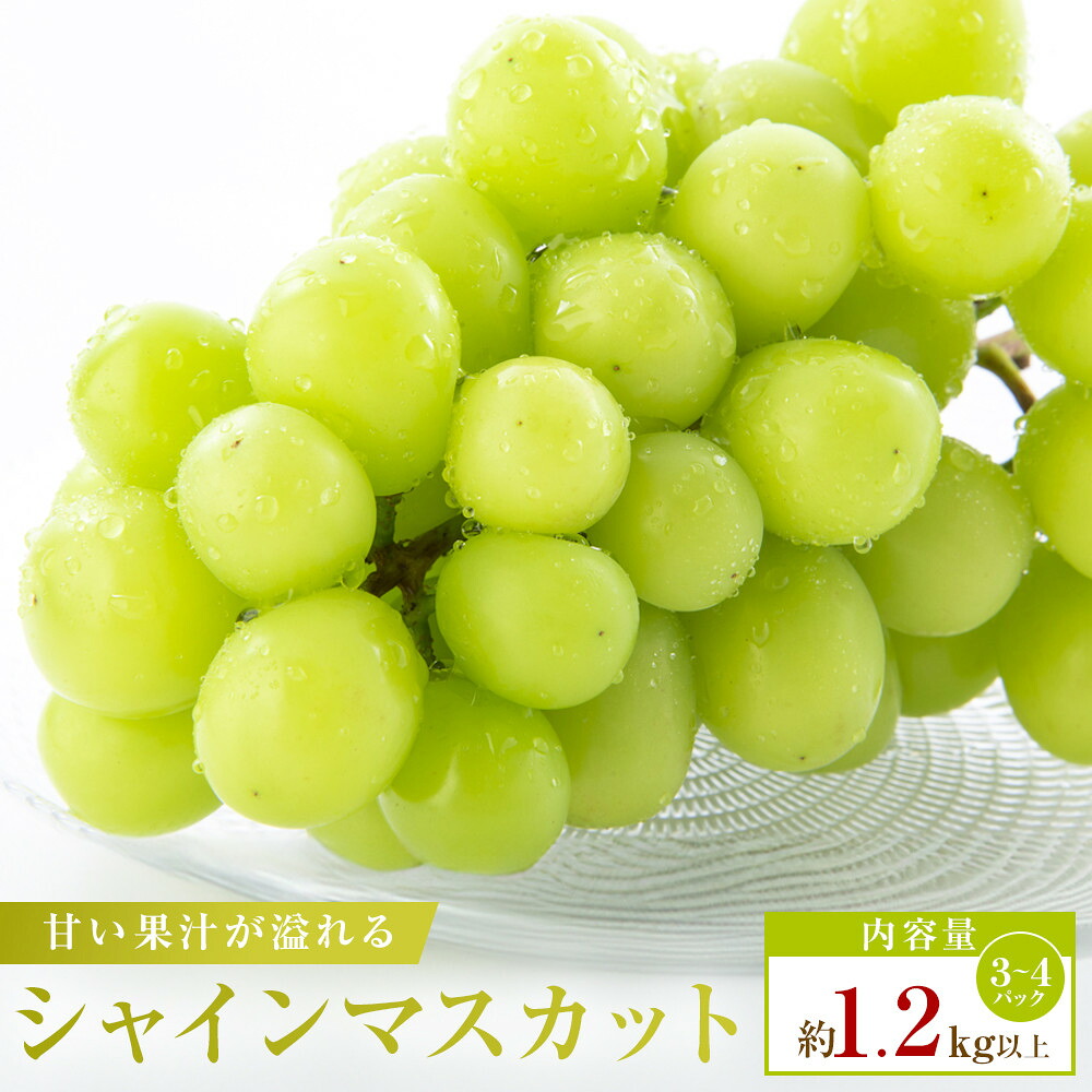 【ふるさと納税】【小分けパック入り】パクパク食べれる・シャインマスカットパック　約1.2kg以上