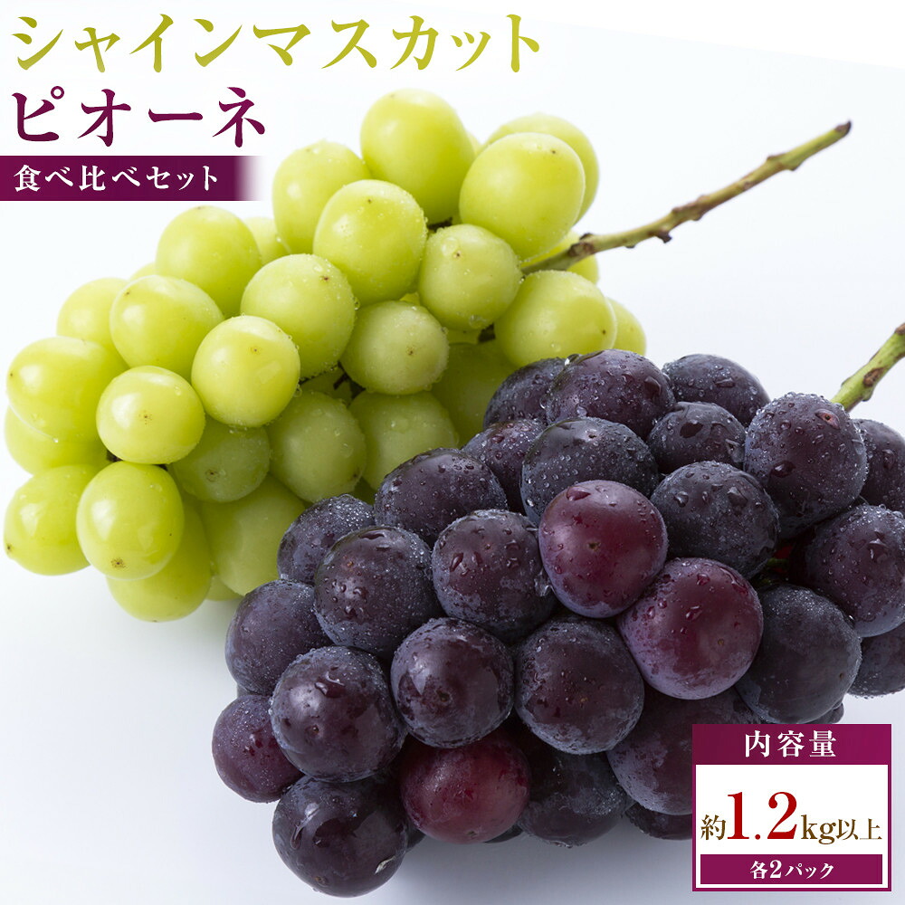 【ふるさと納税】シャインマスカット+ピオーネ　パック食べ比べセット　約1.2kg以上(各2パック)