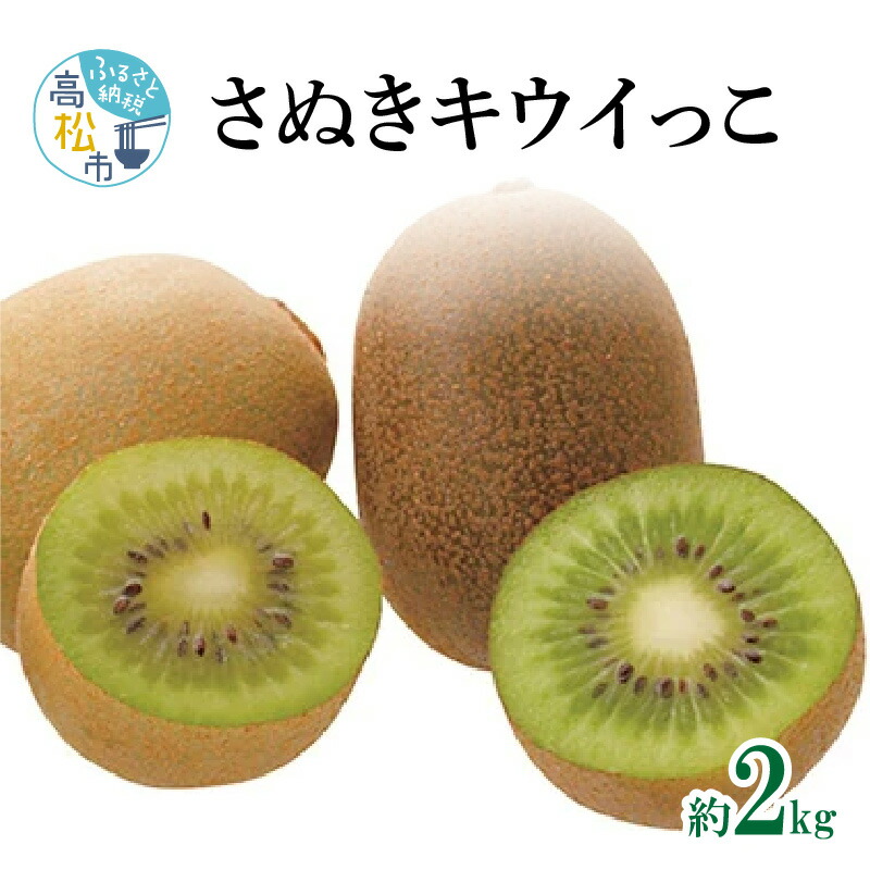 【ふるさと納税】さぬきキウイっこ　約2kg【2026年10月下旬～2026年12月下旬配送】 | キウイ 甘い 果物 フルーツ デザート スイーツ 産地直送 食品 人気 おすすめ お取り寄せ お取り寄せグルメ｜香川県高松市