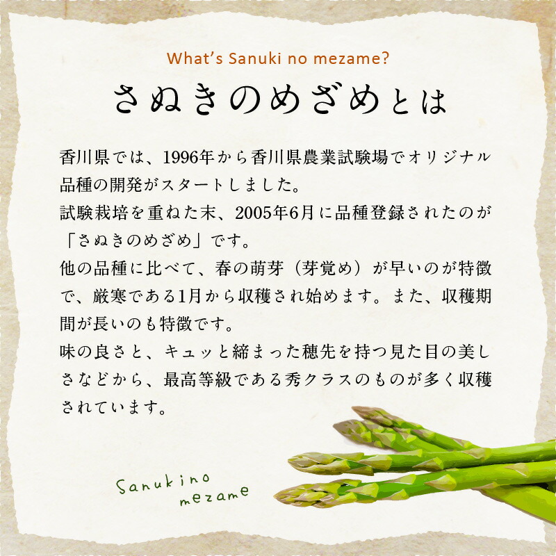 市場 ふるさと納税 野菜 さぬきのめざめ夏芽 アスパラガス 先行予約 2022年 700g