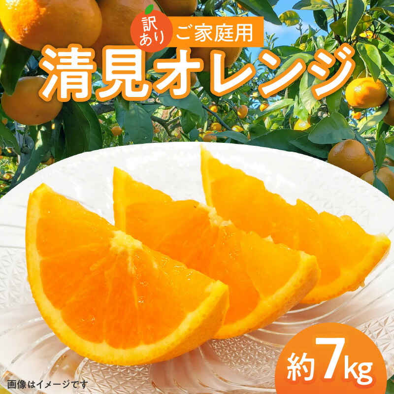 【ふるさと納税】訳あり ご家庭用 清見オレンジ 約7kg【2026-3月中旬～2026-4月上旬配送】 | 清見 オレンジ たっぷり ジューシー みかん 果物 フルーツ 柑橘 柑橘類 青果 青果物 農産物 国産 高松市産 プチプチ 弾ける 甘い 果汁 果肉 果汁 爽やか 丸ごと おすそ分け