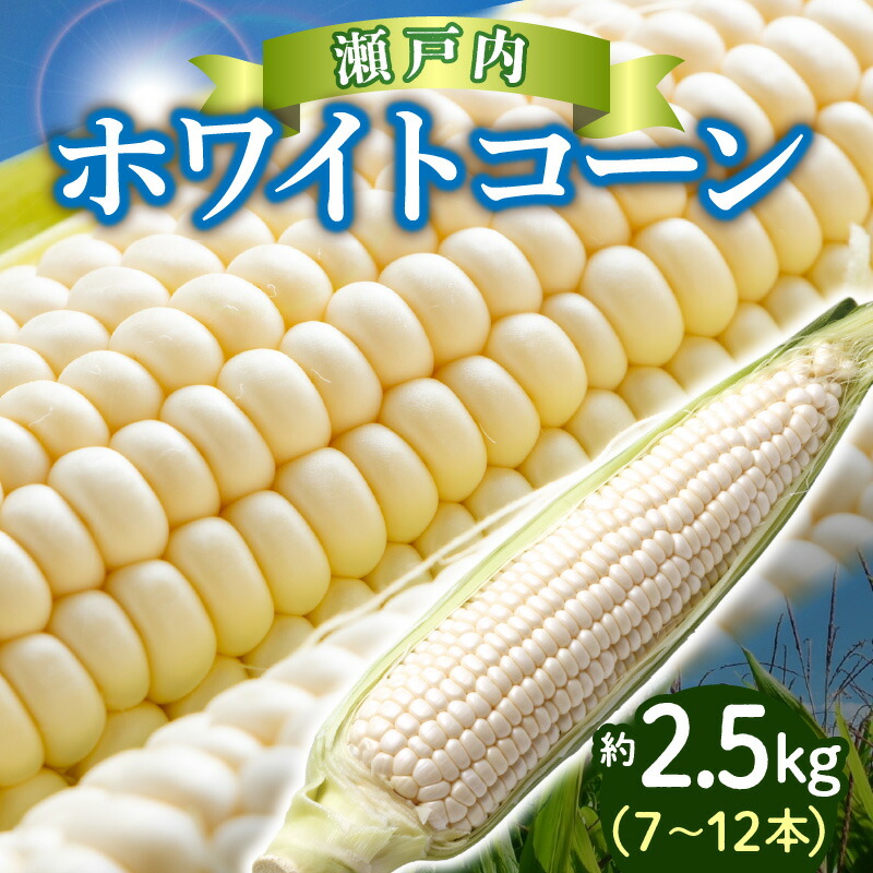 【ふるさと納税】上品な甘さ 瀬戸内 ホワイトコーン 約2.5kg【2025-6月中旬～2025-7月中旬配送】 | とうもろこし 上品 甘い 珍しい コーン プチプチ 弾ける 白い 野菜 新鮮 鮮度 自宅用 家庭用 高松市産 瀬戸内 料理 コーンスープ コーンポタージュ コーンバター 冷蔵