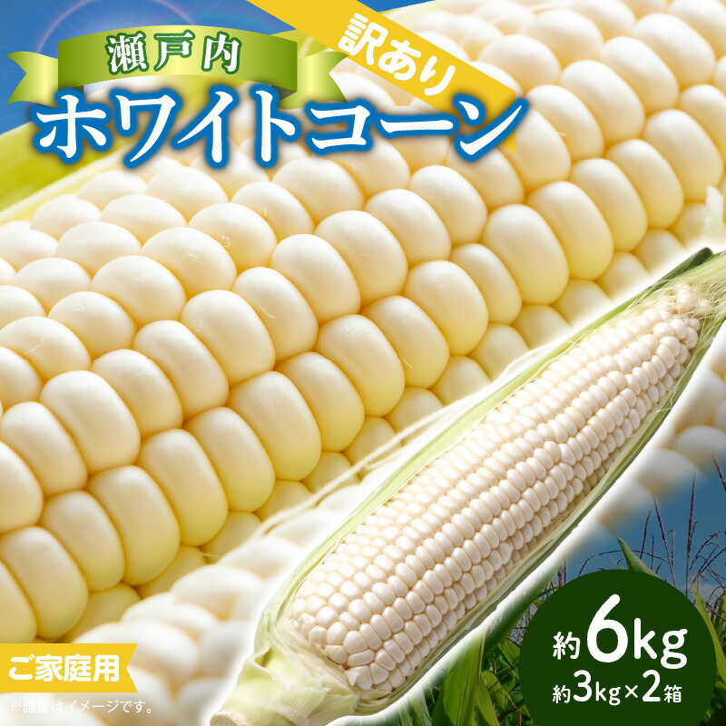 【ふるさと納税】訳あり ご家庭用 瀬戸内ホワイトコーン 約6kg【2025-6月中旬～2025-7月中旬配送】 | コーン とうもろこし トウモロコシ コーン 野菜 瀬戸内 香川県 高松市 送料無料