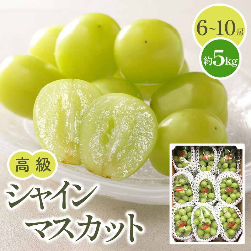 【ふるさと納税】高級 シャインマスカット 約5kg【2026-7月下旬～2026-8月下旬配送】 | マスカット 果物 フルーツ ぶどう