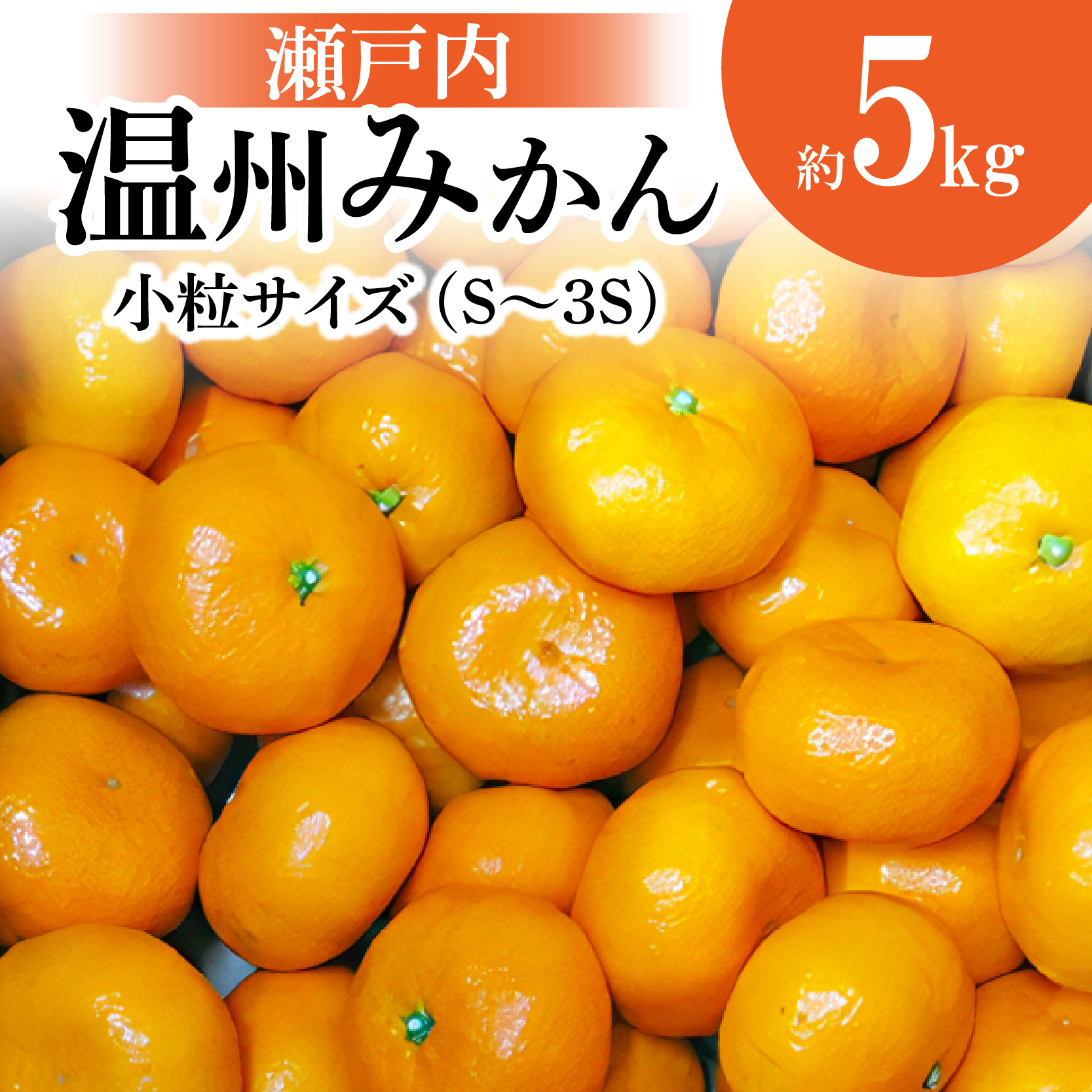 楽天市場】【ふるさと納税】 訳あり ご家庭用 小原紅早生みかん 大玉