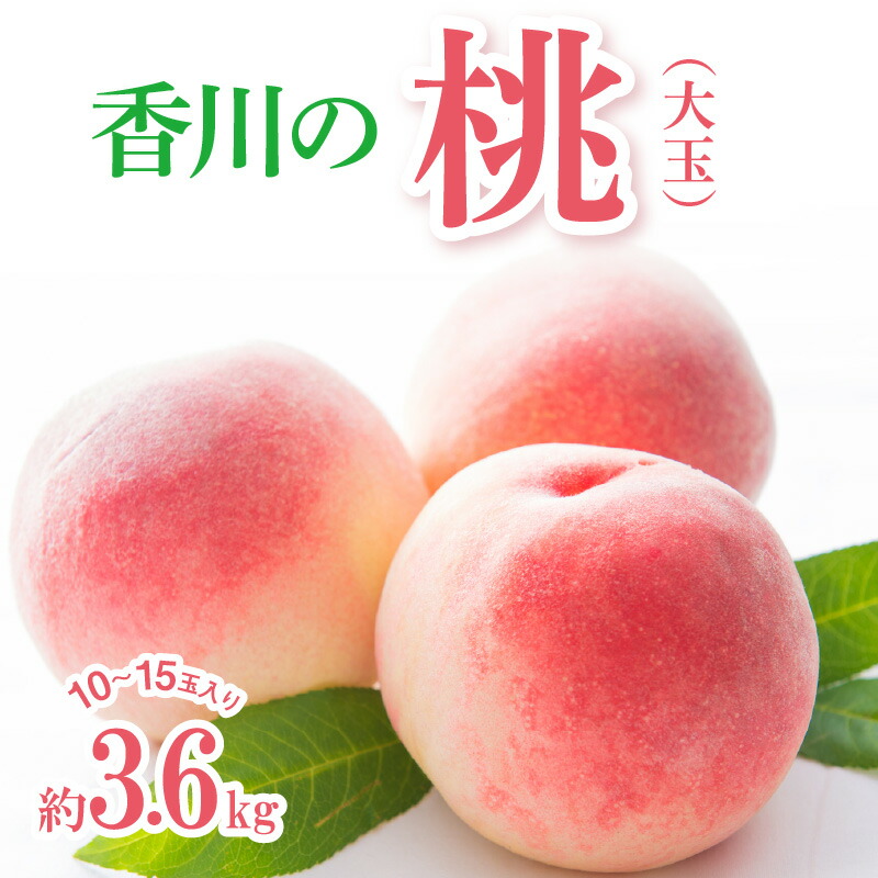 【ふるさと納税】香川の桃(大玉) 約3.6kg【2025-6月中旬～2025-8月上旬配送】 | 果物 フルーツ デザート スイーツ 青果 青果物 果実 果肉 果汁 旬 旬の果物 季節の果物 季節 産地直送 農産物 農作物 生鮮食品 生鮮 高松市産 瀬戸内 ご褒美 手土産 グルメ お取り寄せ