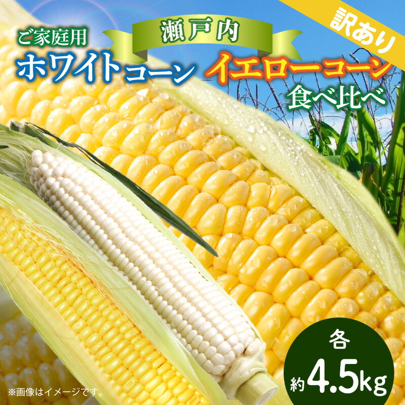 【ふるさと納税】訳あり ご家庭用 瀬戸内ホワイトコーン・イエローコーン食べ比べ 各約4.5kg【2025-6月中旬～2025-7月中旬配送】 | コーン トウモロコシ とうもろこし 不揃い  野菜 瀬戸内 香川県 高松市 送料無料