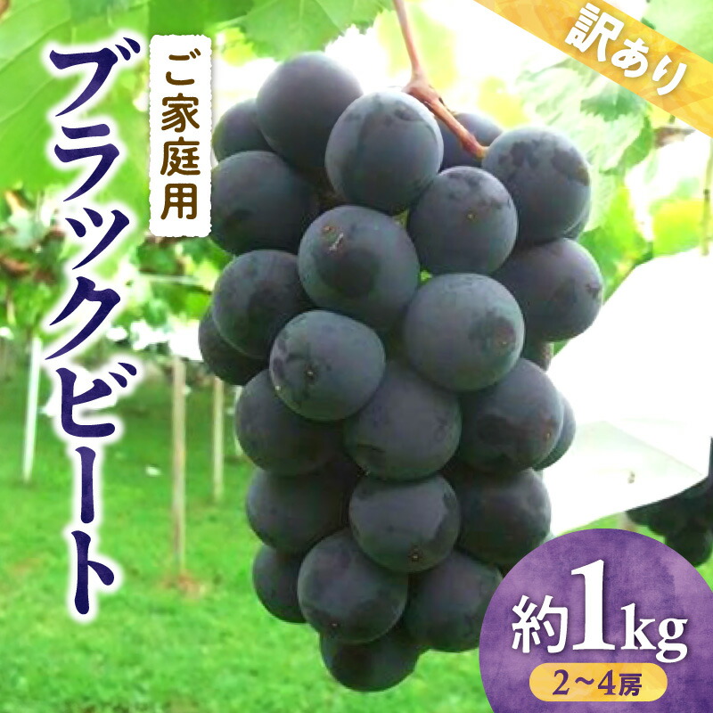 【ふるさと納税】訳あり ご家庭用 ブラックビート 約1kg【2026年8月中旬～2026年9月下旬配送】 | ぶどう ブドウ 果物 フルーツ 藤稔 ピオーネ 大粒 黒ぶどう ジューシー 高松市