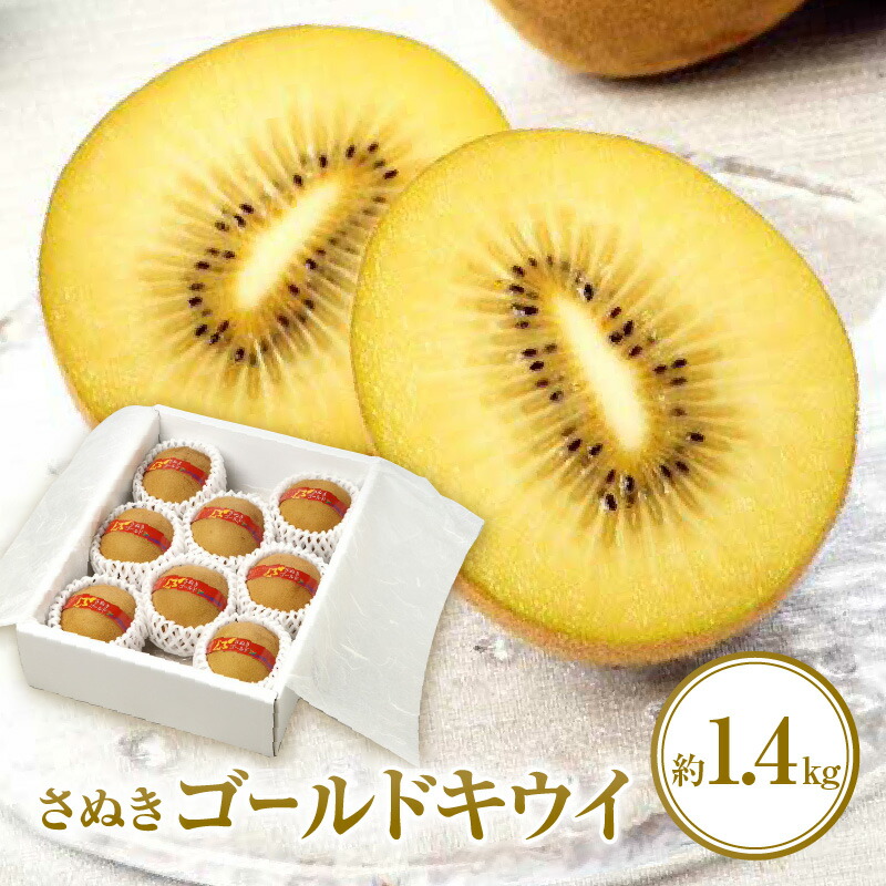 【ふるさと納税】さぬきゴールドキウイ化粧箱　約1.4kg【2026年10月中旬～2027年1月下旬配送】 | 化粧箱入り キウイ 甘い 大きい 果物 フルーツ デザート スイーツ 産地直送 ギフト 贈り物 贈答用 プレゼント 食品 人気 おすすめ お取り寄せ お取り寄せグルメ｜香川県高松市