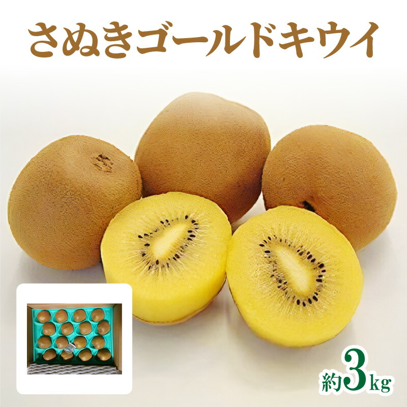 【ふるさと納税】さぬきゴールドキウイ　約3kg【2026年10月中旬～2027年1月下旬配送】 | 化粧箱入り キウイ 甘い 大きい 果物 フルーツ デザート スイーツ 産地直送 ギフト 贈り物 贈答用 プレゼント 食品 人気 おすすめ お取り寄せ お取り寄せグルメ