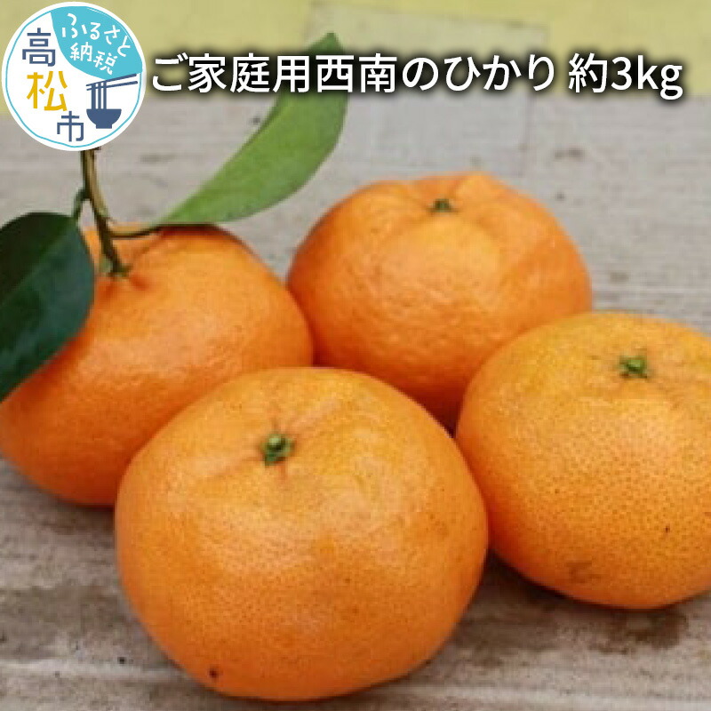 2021新商品 小原紅早生みかん 約５kg〔提供 フルーツ・果物