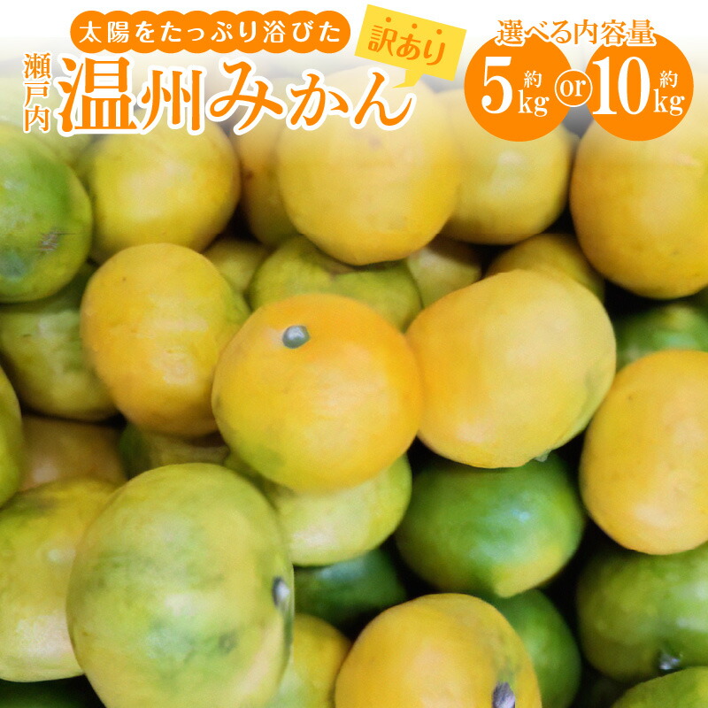 【ふるさと納税】＼寄附額改定／内容量が選べる【訳あり】太陽たっぷり浴びた　瀬戸内温州みかん　【2026年10月上旬～2027年1月中旬配送】 | 果物 フルーツ みかん オレンジ 蜜柑 ミカン 果汁 果肉 サイズ混合 香川県 高松市