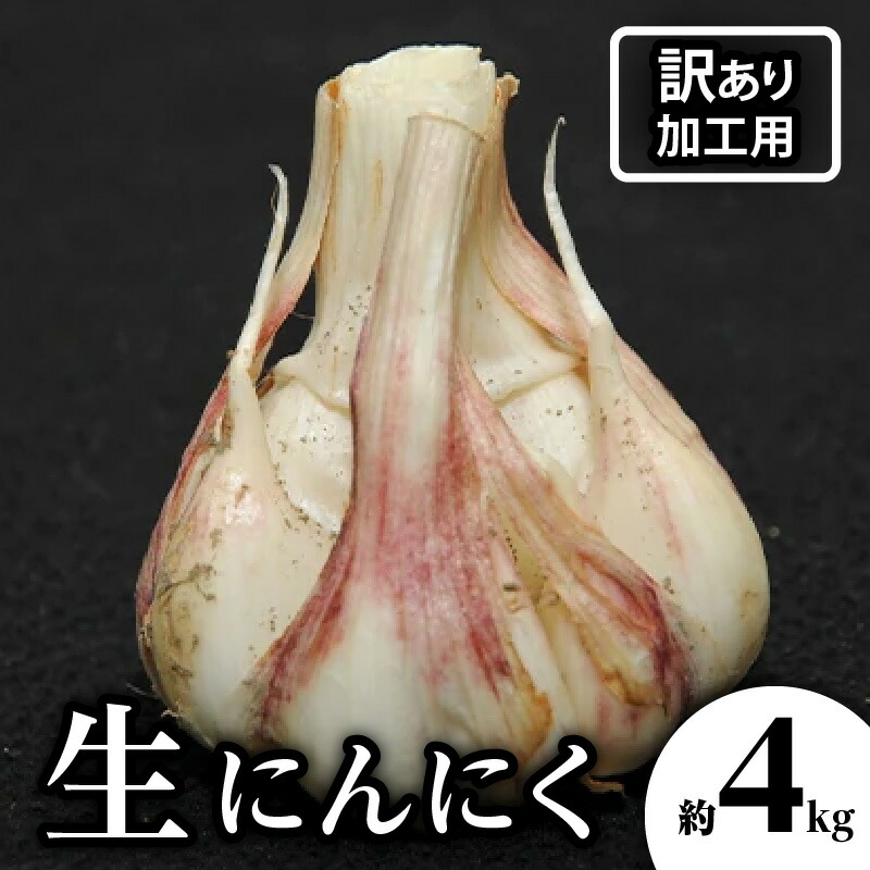 【ふるさと納税】加工用 訳あり 生にんにく 約4kg【2026-5月上旬～2026-6月上旬配送】 | 期間限定 国産 野菜 肉厚 濃厚 新鮮 鮮度抜群 風味抜群 旬 食品 食材 お取り寄せ 自宅用 家庭用 瀬戸内 香川県 高松市
