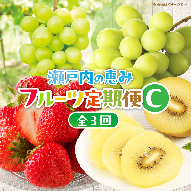 【ふるさと納税】【3回お届け】高松市自慢のフルーツ定期便【C】 |  果物 フルーツ 果実 いちご マスカット キウイ さぬきひめいちご シャインマスカット ゴールドキウイ さぬきゴールド デザート スイーツ 贈答 贈り物 ギフト おすそ分け お取り寄せ 香川県 高松市