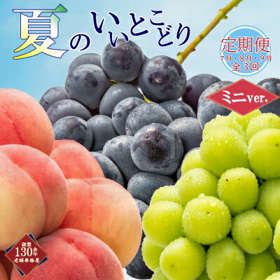 【ふるさと納税】 フルーツ 定期便 全3回 夏のいいとこどりフルーツ定期便 シャインマスカット 桃 ピオーネ ぶどう 葡萄 モモ 果実 果物 フルーツ 旬のフルーツ フルーツギフト ふるさと納税定期便 ふるさと納税フルーツ 人気 おすすめ 送料無料 ふるさと納税