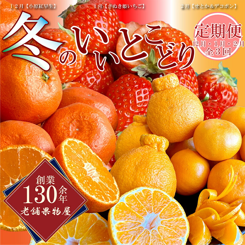 【ふるさと納税】 定期便 3回 冬のフルーツ いいとこどり定期便 みかん 蜜柑 柑橘 苺 いちご せとか デコポン 不知火 果物 詰合せ セット フルーツ ふるさと納税定期便 ふるさと納税フルーツ ふるさと納税 送料無料 ギフト 贈答 家庭用｜香川県丸亀市