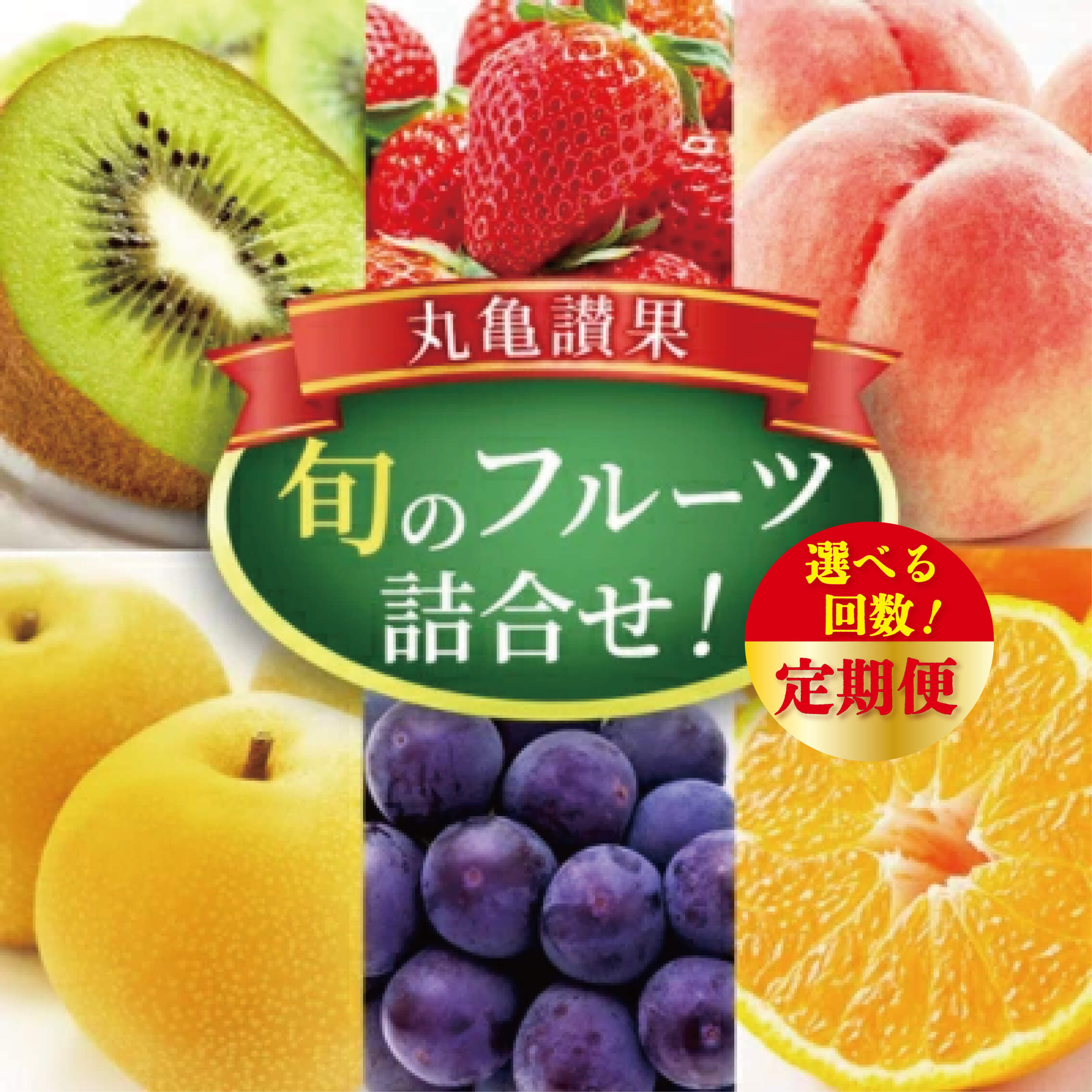 【ふるさと納税】 フルーツ 定期便 選べる回数 いちご 苺 みかん 蜜柑 柑橘 デコポン 不知火 びわ 桃 もも 梨 ナシ ぶどう 葡萄 マスカット 柿 キウイ せとか はっさく オレンジ 果物 デザート スイーツ ふるさと納税定期便 ふるさと納税フルーツ 冷蔵 ふるさと納税|香川県丸亀市