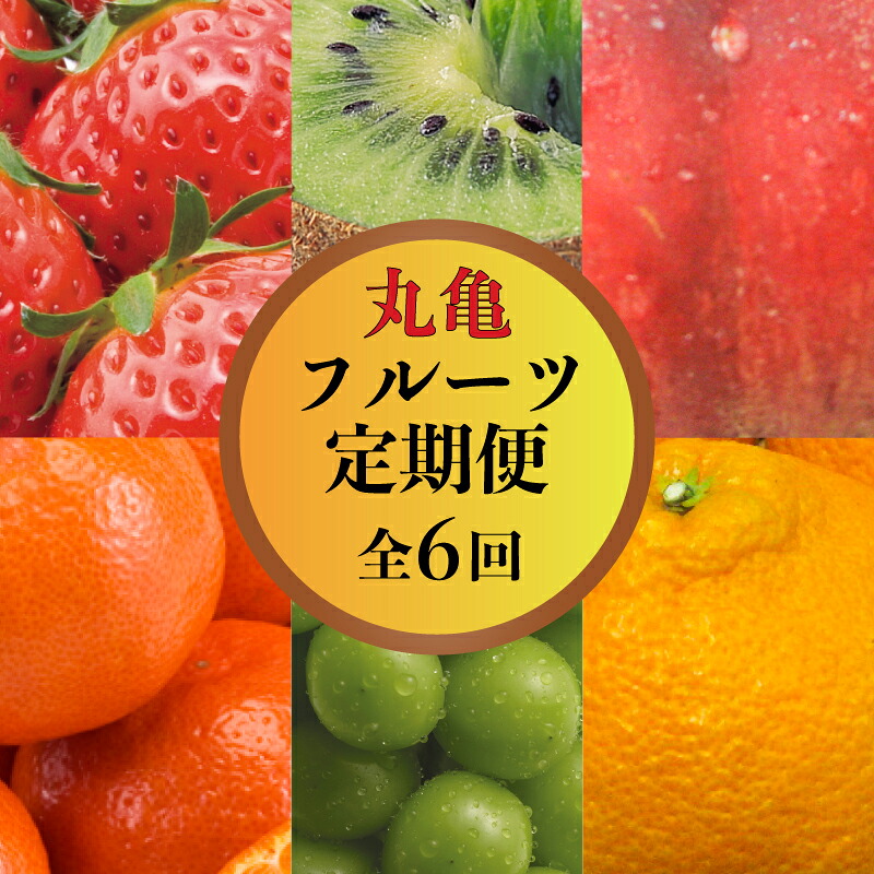 【ふるさと納税】 果物を贅沢に味わう 丸亀のフルーツ定期便 全6回 キウイ いちご 不知火 桃 シャインマスカット みかん さぬきひめ さぬき紅みかん 香緑 香川県 丸亀市