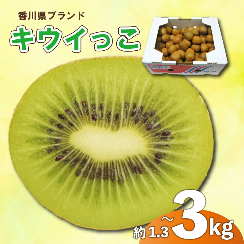 【ふるさと納税】 先行予約 キウイ 約1.3kg 約2kg 約3kg キウイフルーツ サイズ混合 さぬきキウイっこ 果物 果実 フルーツ 旬 デザート 選べる 容量 11月上旬～12月下旬 配送 家庭用 贈答用 ギフト プレゼント 香川県 丸亀市｜香川県丸亀市