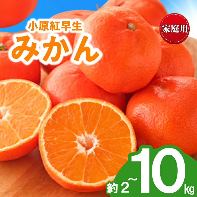 【ふるさと納税】 先行予約 みかん 蜜柑 約2kg 3kg 5kg 10kg 小原紅早生 小原紅早生みかん 柑橘 オレンジ 果物 フルーツ 果実 旬 家庭用 11月下旬～12月下旬 配送 香川県 丸亀市｜香川県丸亀市