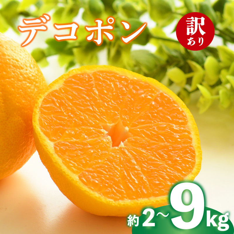 【ふるさと納税】 2027年 先行予約 デコポン 約2g 4kg 9kg 訳あり 不知火 しらぬい みかん 柑橘 蜜柑 オレンジ 果物 フルーツ 果実 旬 家庭用 2月中旬～4月中旬 配送 香川県 丸亀市｜香川県丸亀市 24,140円