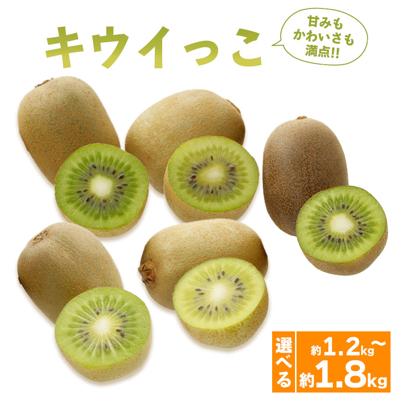 【ふるさと納税】 先行予約 キウイフルーツ キウイっこ 約1.2kg 約1.8kg 果物 フルーツ キウイ グリーンキウイ デザート スイーツ ケーキ ジュース ゼリー アイス シャーベット ジェラート フルーツ大福 ドライフルーツ ギフト 家庭用 旬の果物 人気 おすすめ 香川県 丸亀市｜香川県丸亀市
